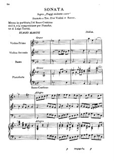 Соната для двух скрипок, виолончели и бассо континуо: Соната для двух скрипок, виолончели и бассо континуо by Бьяджо Марини