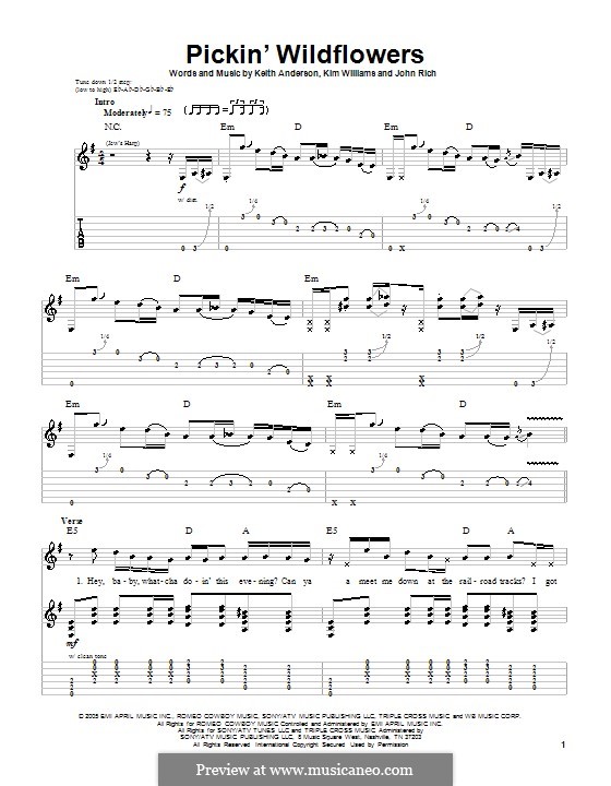 Pickin' Wildflowers (Keith Anderson): Для гитары с табулатурой by John Rich, Kim Williams