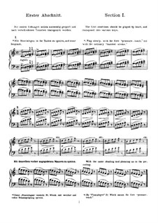 Этюды для фортепиано: Этюды для фортепиано by Фридрих Вик