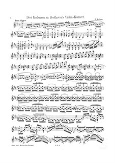Три каденции к концерту для скрипки с оркестром Бетховена: Три каденции к концерту для скрипки с оркестром Бетховена by Бернхард Молик
