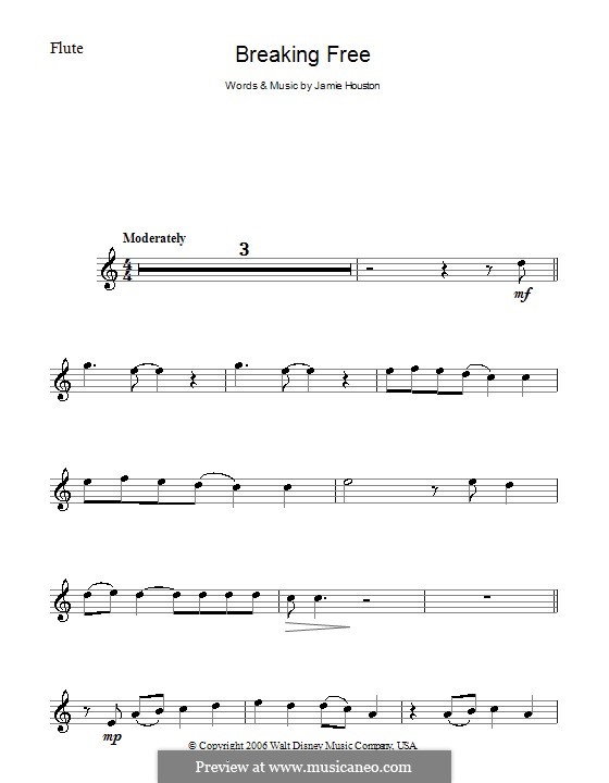 Breaking Free (from High School Musical): Для флейты by Jamie Houston
