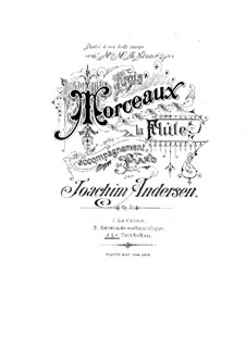 Three Pieces for Flute and Piano, Op.57: No.3 Le tourbillon by Иоахим Андерсен