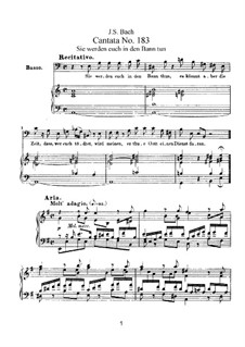 Sie werden euch in den Bann tun, BWV 183: Клавир с вокальной партией by Иоганн Себастьян Бах