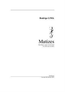 Matizes for flute and ensemble: Matizes for flute and ensemble by Rodrigo Lima