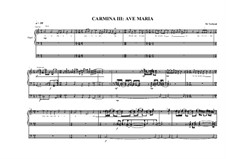 Work for Organ No.3 'Ave Maria', MVWV 296: Work for Organ No.3 'Ave Maria' by Maurice Verheul