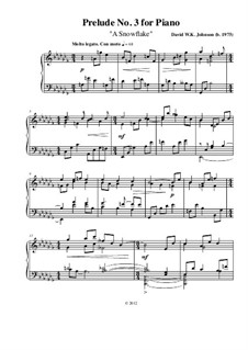 Prelude No.3 for Piano (A Snowflake): Prelude No.3 for Piano (A Snowflake) by David WK Johnson
