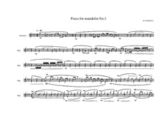 Piece for electric Mandolin 'mandocastor', MVWV 213: Piece for electric Mandolin 'mandocastor' by Maurice Verheul