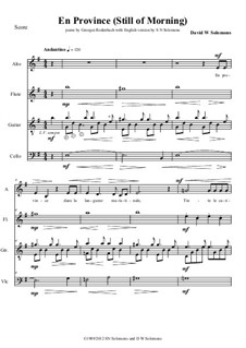 En Province (Up Country): For alto voice, flute, guitar and cello by Дэвид Соломонс