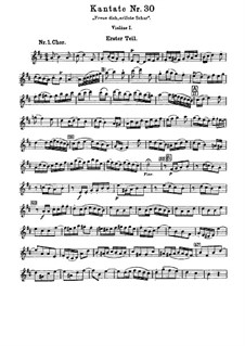 Радуйтесь, спасённые народы, BWV 30: Партия первой скрипки by Иоганн Себастьян Бах