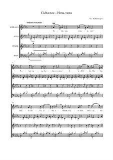 Piano-vocal score: Для смешанного хора by Франц Ксавьер Грубер