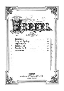 Polonaise: Полонез by Густав Адольф Меркель