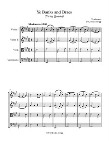 Ye Banks and Braes: Для струнного квартета by folklore