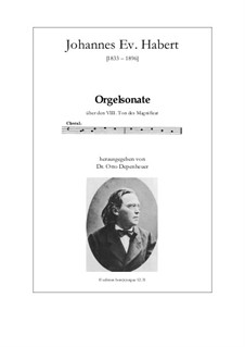 Sonate über den VIII. Ton des Magnificat, Op.16: Sonate über den VIII. Ton des Magnificat by Johannes Evangelista Habert