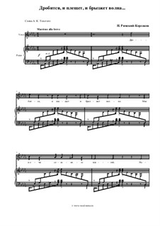 У моря, Op.46: No.1 Дробится, и плещет, и брызжет волна by Николай Римский-Корсаков
