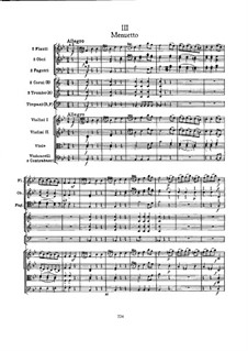 Симфония No.102 си-бемоль мажор, Hob.I/102: Часть III by Йозеф Гайдн