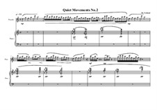 Quiet Movements: No.2 for piccolo and piano, MVWV 607 by Maurice Verheul