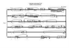 1 measure 'Etudes to the nocturnes' for piano: Movement No.2, MVWV 584 by Maurice Verheul