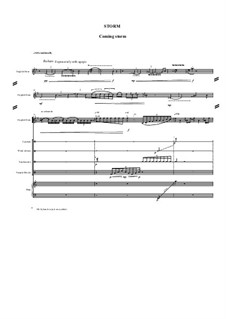 Storm: Storm by Neria Cepaite