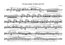 10 viam somnia for flute solo: No.5, MVWV 524 by Maurice Verheul