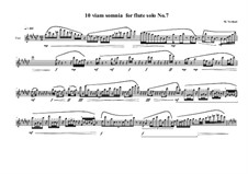 10 viam somnia for flute solo: No.7, MVWV 526 by Maurice Verheul