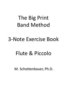 3-Note Exercise Book: Flute and flute piccolo by Michele Schottenbauer