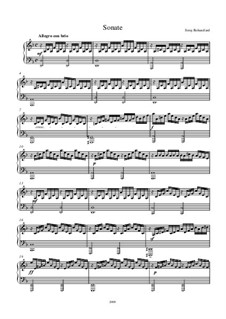 Sonata: Sonata by Seraj Rohanifard