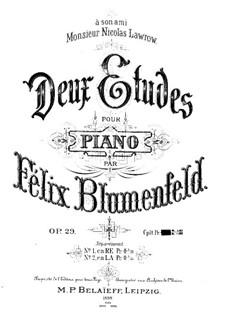 Два этюда, Op.29: Этюд No.1 ре минор by Феликс Блуменфельд