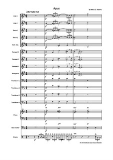Apus: For big band by Michael J.D. Roberts