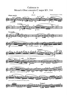 Cadenzas to Mozart Oboe Concerto KV 314: First movement, No.2 by Plamen Prodanov