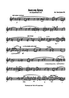 For one instrument: Для флейты by folklore