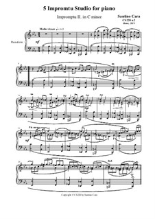 5 Impromptu Studies for Piano, CS228: Impromptu study No.2 in C minor by Santino Cara