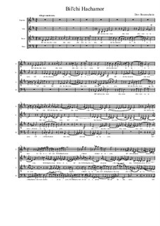 Bil'chi Hachamor: Bil'chi Hachamor by Dov Rosenschein