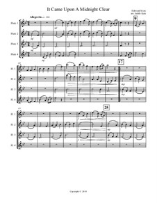 Instrumental version: Для квартета флейт by Richard Storrs Willis