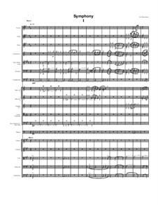 Symphony: Symphony by Dov Rosenschein