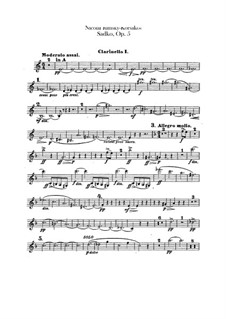 Садко. Музыкальная картина, Op.5: Партии кларнетов by Николай Римский-Корсаков