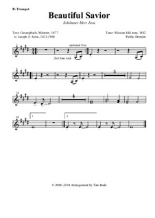 Beautiful Savior: Instrument parts by folklore