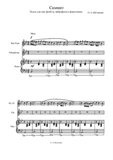 Саммит: Саммит by Олег Щетинкин