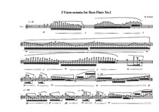 3 viam somnia for bass flute: No.1, MVWV 756 by Maurice Verheul