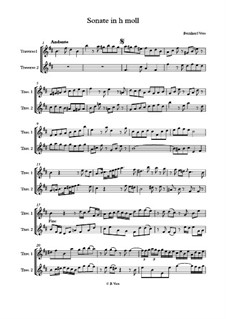 Sonata for 2 travers flutes in b minor: Sonata for 2 travers flutes in b minor by Bernhard Vass