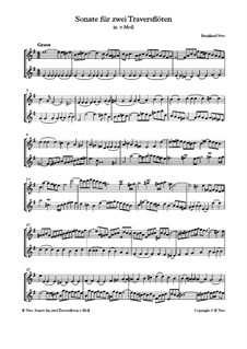 Sonate für 2 Traversflöten in e moll: Sonate für 2 Traversflöten in e moll by Bernhard Vass