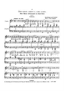 Я в субботу затеплю свечу: Low voice in B Flat Major by Луиджи Гордиджиани