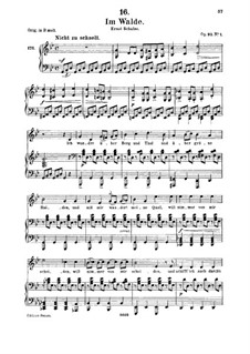 Im Walde (In the Forest), D.834 Op.93 No.1: Для среднего голоса и фортепиано by Франц Шуберт