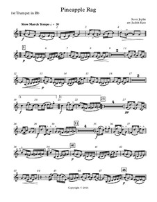 Pineapple Rag: For brass quintet - parts by Скотт Джоплин