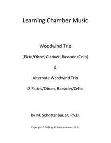Learning Chamber Music: Woodwind trio by Michele Schottenbauer