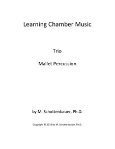 Learning Chamber Music: Mallet percussion trio by Michele Schottenbauer