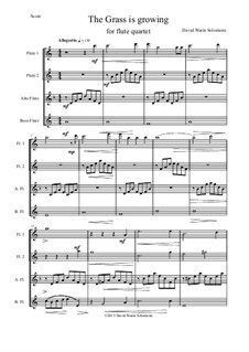 The grass is growing: Для квартета флейт by Дэвид Соломонс