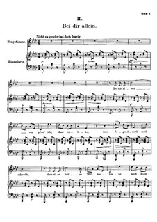 Vier Refrain-Lieder, D.866 Op.95: Nr.2 Bei dir allein by Франц Шуберт