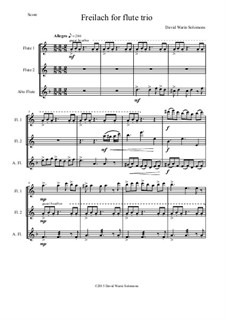 Freilach (Fraylach): For flute trio (2 flutes and 1 alto flute) by Дэвид Соломонс