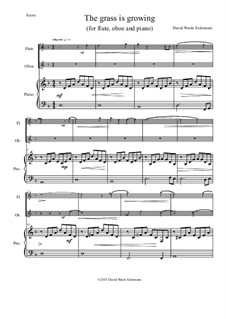 The grass is growing: For flute, oboe and piano by Дэвид Соломонс