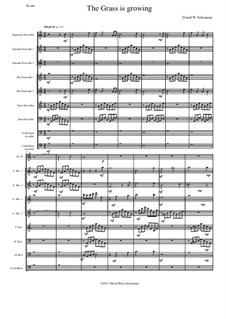 The grass is growing: For recorder orchestra by Дэвид Соломонс